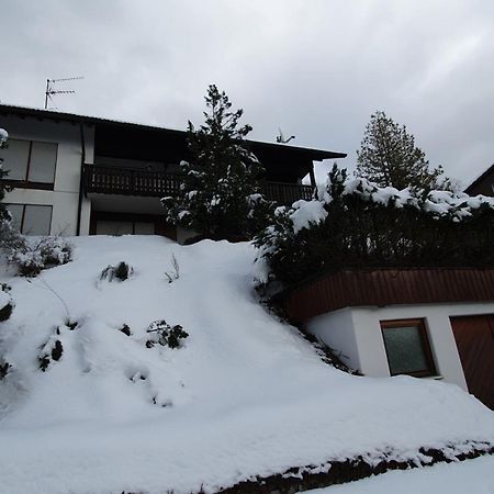 Villa Haus Panorama Mit Alpenblick Kleines Wiesental Exterior foto